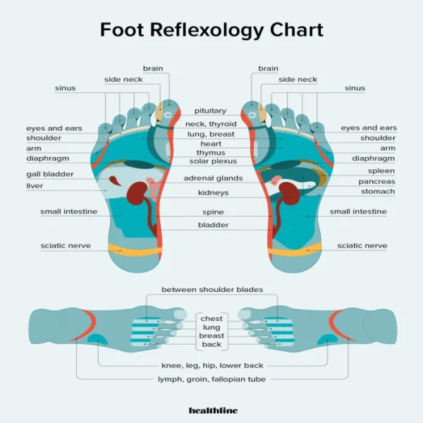 Acupuncture Foot Massager - Image 3