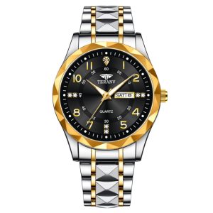 Premium watch